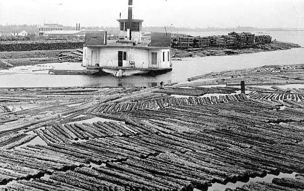 Logs in a boom on Cass Lake, ca. 1920.