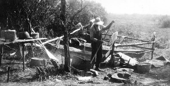 Parching wild rice, Cass Lake, 1915