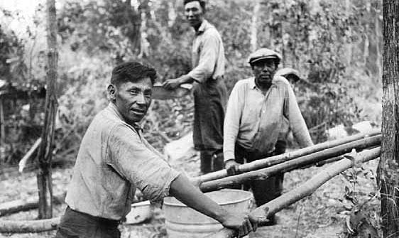 Indians hulling rice on American Point, Northwest Angle. 1930