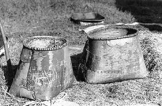 Wild ricing, Nett Lake Indian Reservation