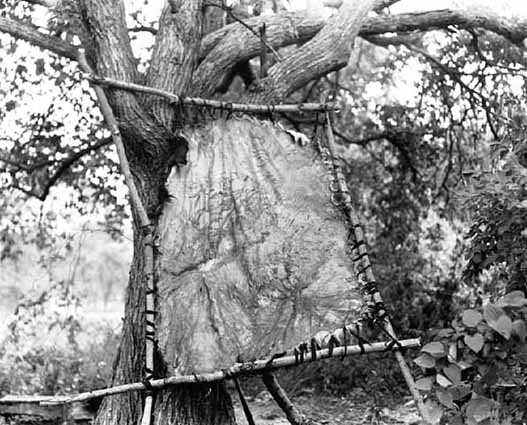 Moose hide, Nett Lake Indian Reservation.