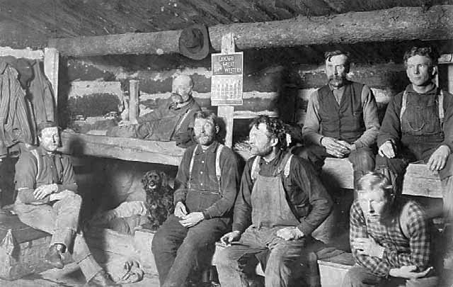 Bunkhouse logging camp near Bemidji, ca. 1908.