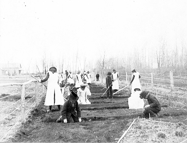 Children planting a garden at an Indian boarding school, location unknown, ca. 1900.