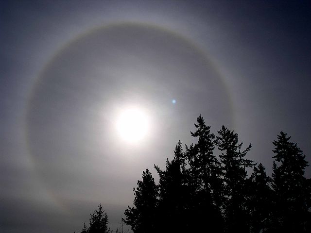 Sun Halo & Trees. Portland, Oregon, n.d.