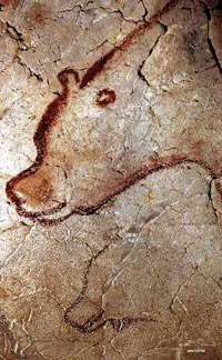 Chauvet Cave, cave bear.