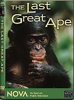 The Last Great Ape video.