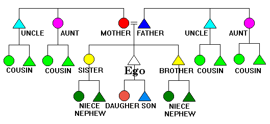 Eskimo kinship system, English terms.