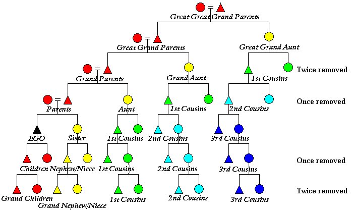 "Counting cousins".