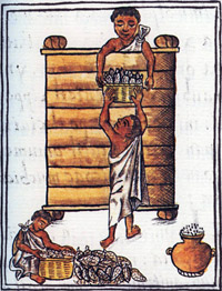 Aztecs storing maize.