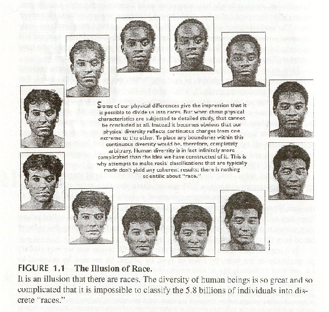Diversity of races.