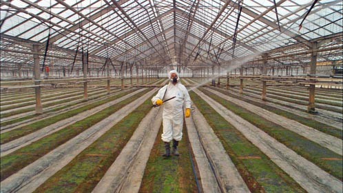 Our Daily Bread film image.