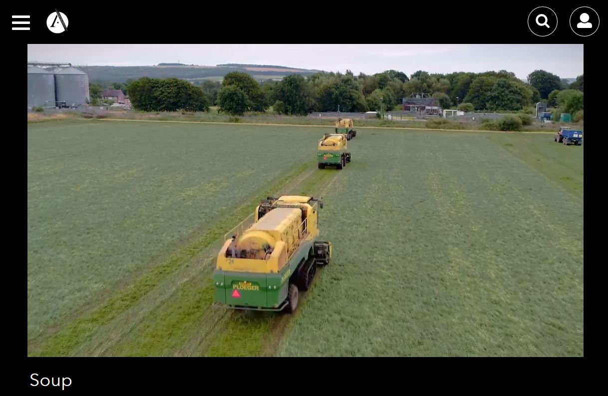 Picture of harvesting peas, from "Soup"