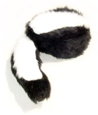 Skunk hat.