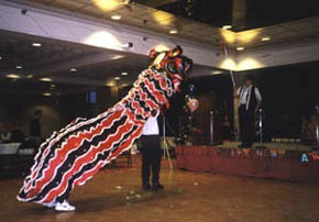 Chinese Lion Dance