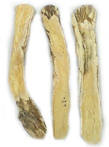 Astragalus