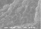 Cabon Nanotube-enhaced Cement