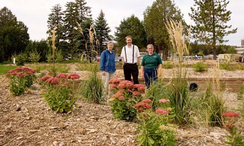 Rain Garden.