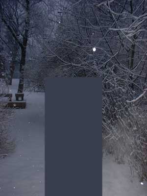 snow trees