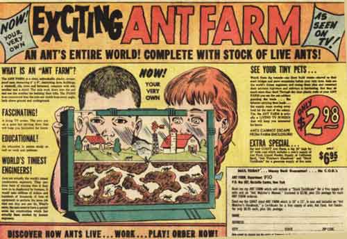 ant farm