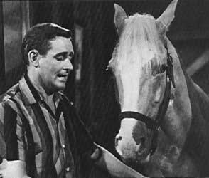 mr ed