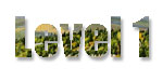 image into type sample