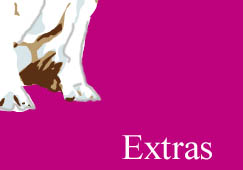 Extras