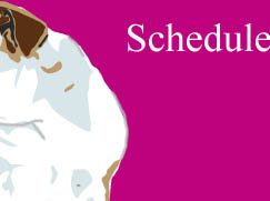 Schedule