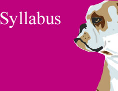 Syllabus