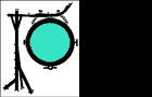 orb