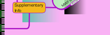 English 1001 Supplementary