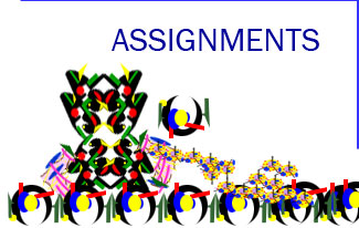 Assignments