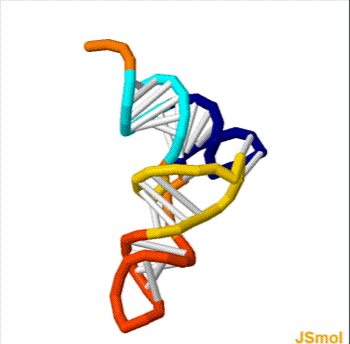 3D tRNA