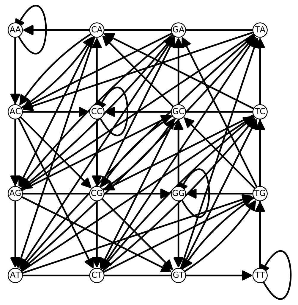 de Bruin graph