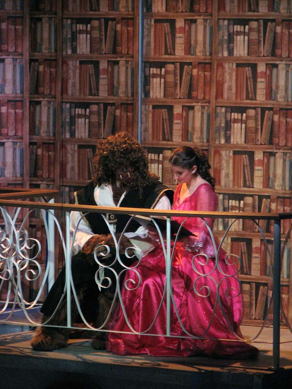 Beauty & the Beast Library