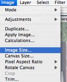 Image Size Dialog Box