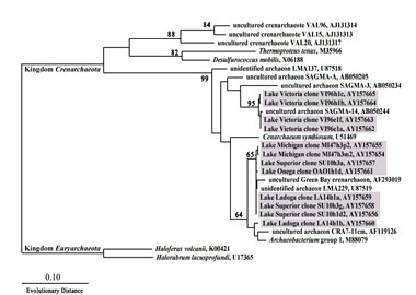 Archaea_Clones