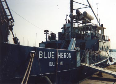 Blue_Heron