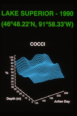 Cocci_Dist