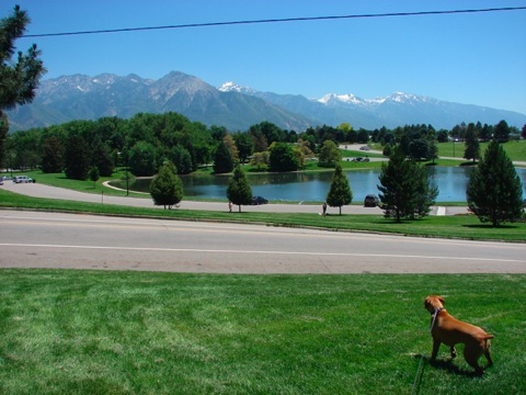 utah