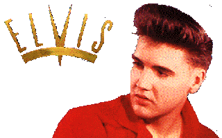 Elvis