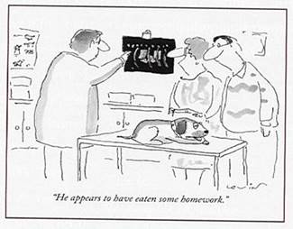HomeworkExcuse